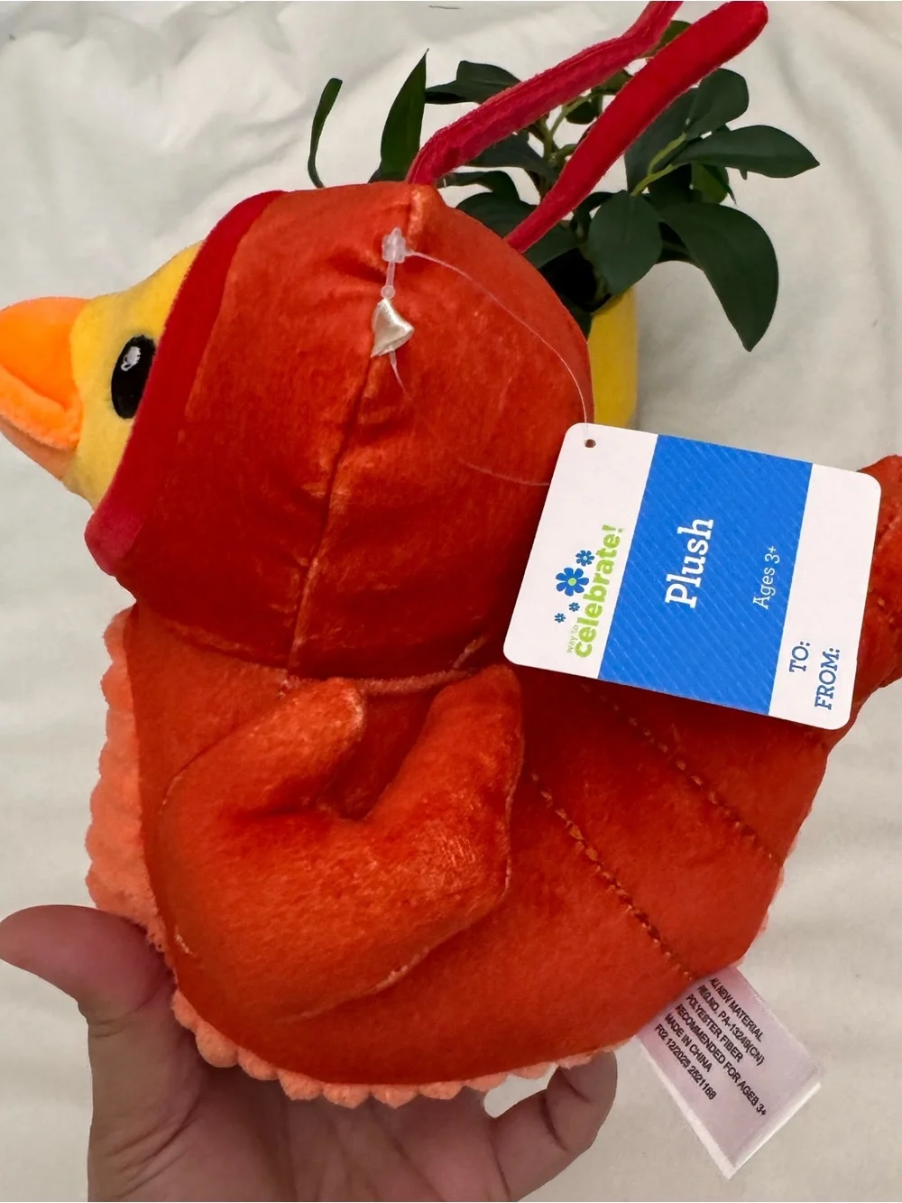 Way To Celebrate Small Turtle/Lobster Duck Plush